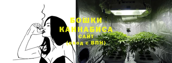 прущие грибы Баксан