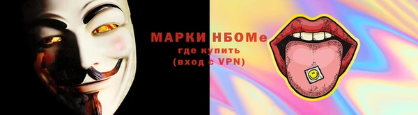 прущие грибы Баксан