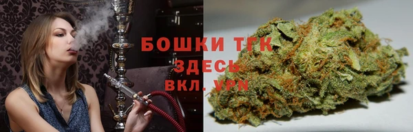 прущие грибы Баксан